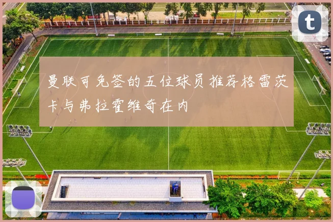 曼联可免签的五位球员推荐格雷茨卡与弗拉霍维奇在内